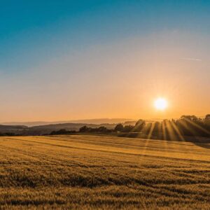 Picture of a field with the sun setting. Photo by Federico Respini.