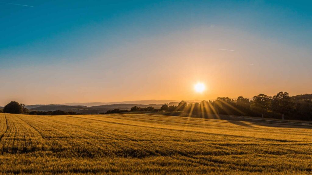 A photo of the sun rising over farmland. The sky is clear blue. Credit Federico Respini.