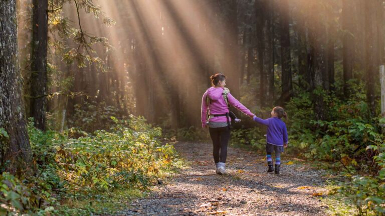 Photo of a woman and child walking on a forest path. Sunlight filters through trees, onto the path, and they are holding hands. Credit James Wheeler.