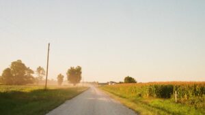 Photo of a country road. There are a few trees on the left side and a corn field on the right. The road stretches out ahead of the viewer with slight turn to the left, where some dust can be seen as if a vehicles has recently passed along it. Photo by Bradyn Shock on Unsplash.