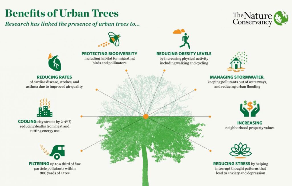 Infographic showing the many benefits that trees have in the urban environment. Credit: The Nature Conservancy