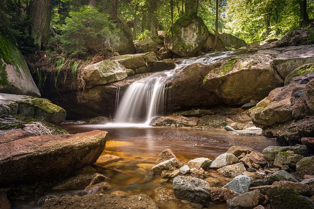 rocky river in the woods with a small waterfall