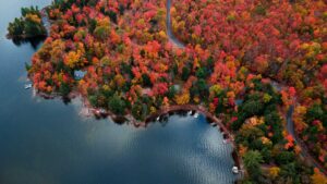 Aerial view of red fall leaves, a lake, and cottages on the shore. Photo by Derek Sutton on Unsplash