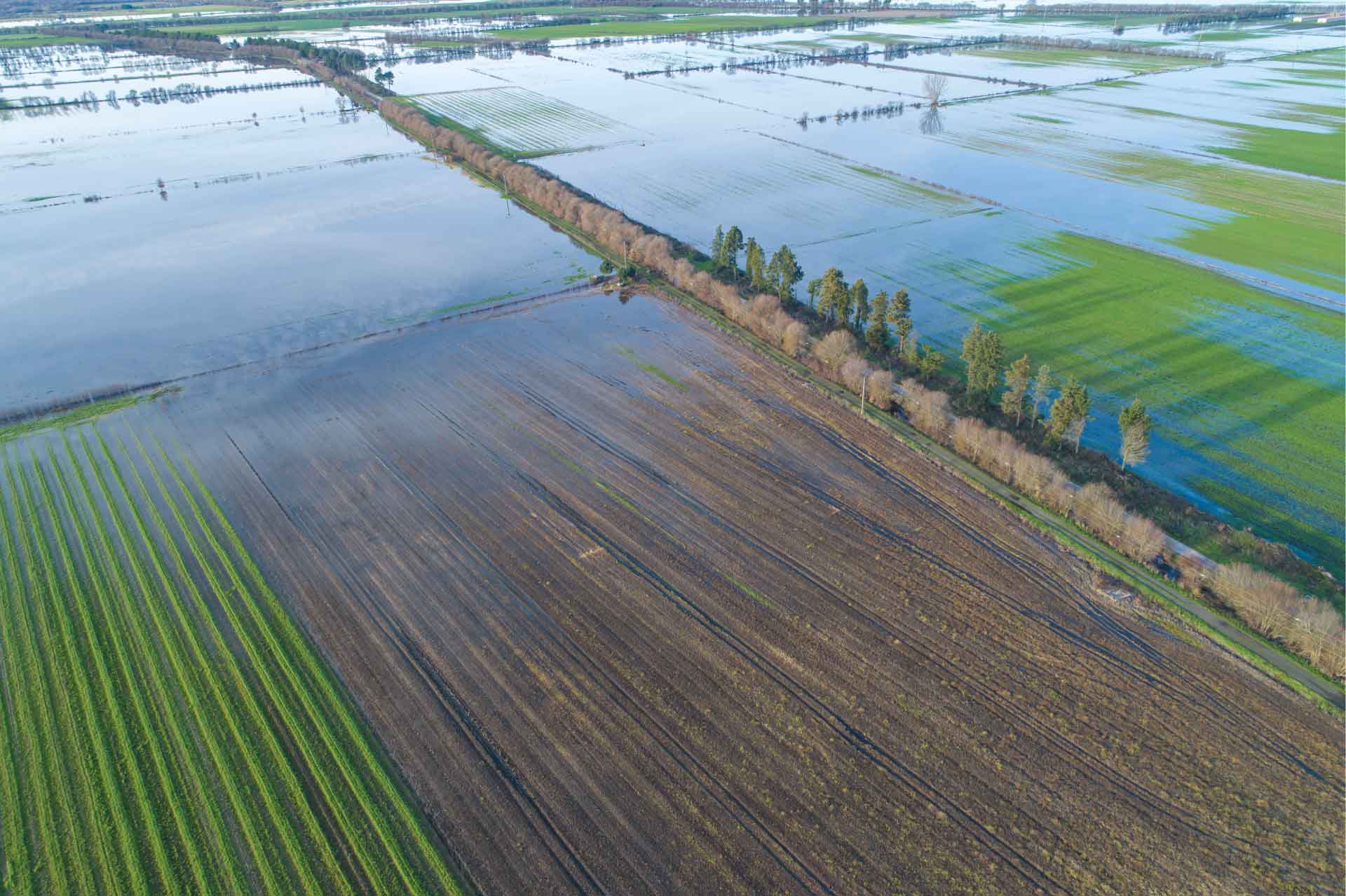 Aerial photo of flooded farmland.