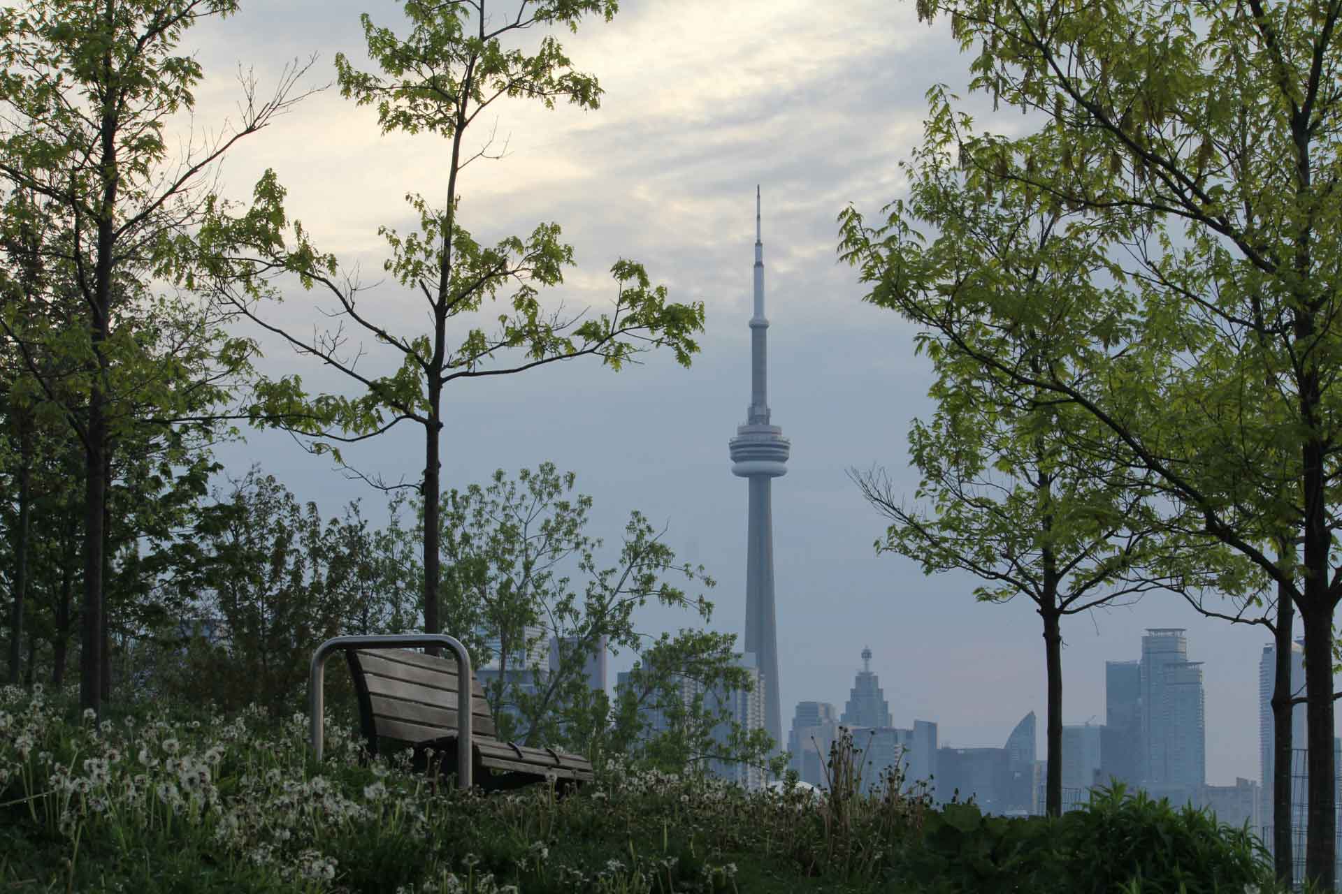 Photo of Toronto's skyline, with the CN Tower in the background and trees and a park bench in the foreground.