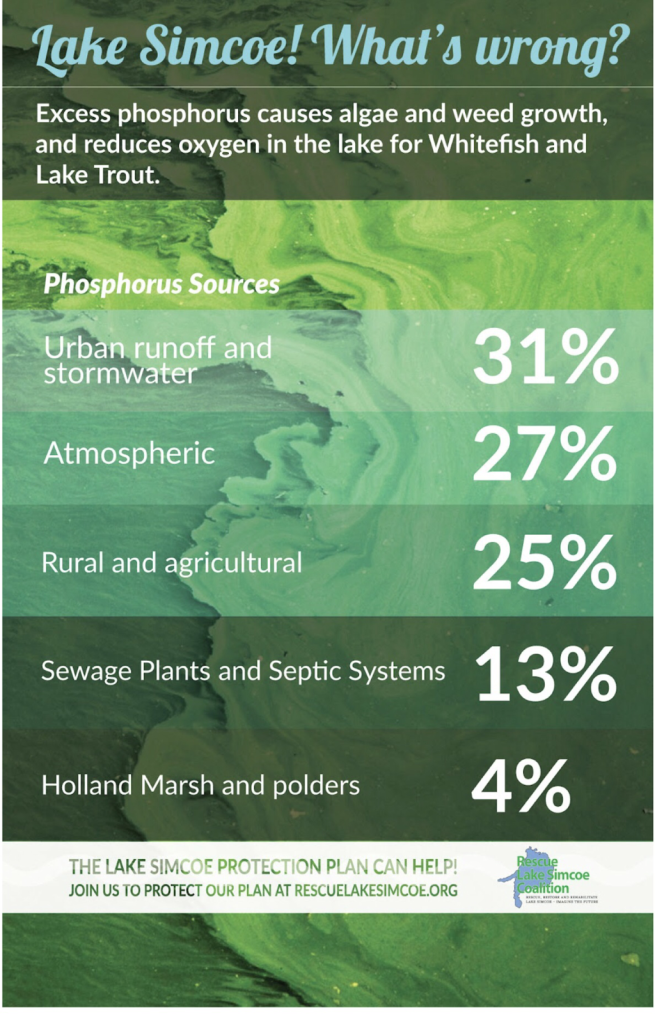 Lake Simcoe Phosphorus Sources Graphic