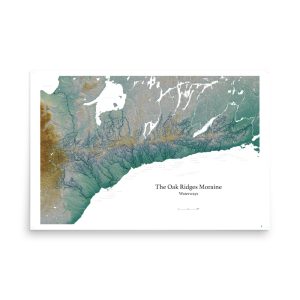 Enhanced matte paper poster in 24x36 front 681a38b0a914c.jpg