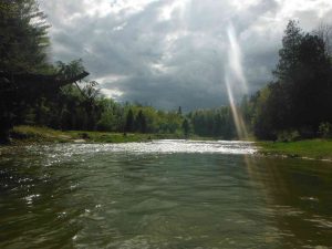 Middle reaches of the Nottawasaga river. Photo credit: Nottawasaga Valley Conservation Authority