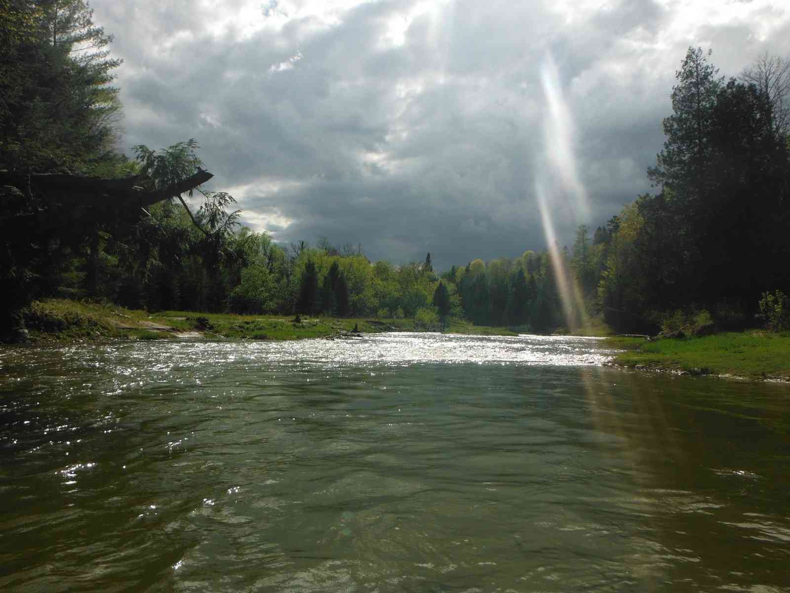 Middle reaches of the Nottawasaga river. Photo credit: Nottawasaga Valley Conservation Authority